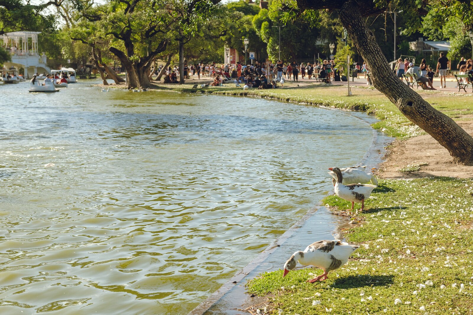 Bosques de Palermo